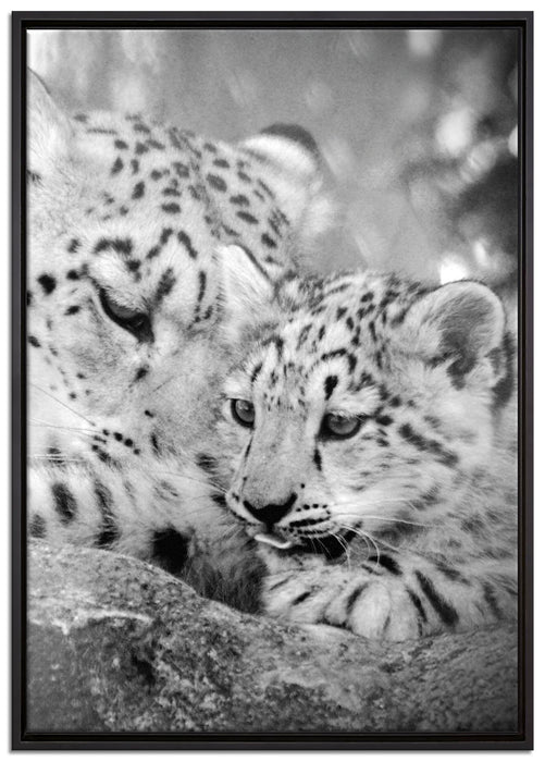 Leopard mit Jungtier auf Leinwandbild gerahmt Größe 100x70