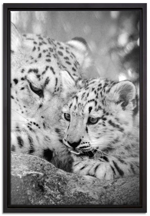 Leopard mit Jungtier auf Leinwandbild gerahmt Größe 60x40