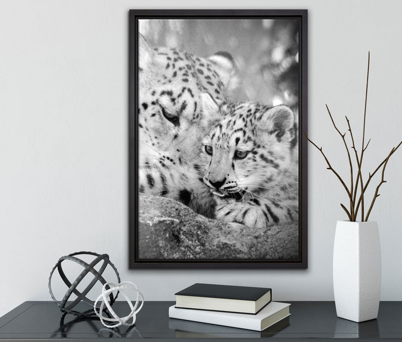 Leopard mit Jungtier auf Leinwandbild gerahmt mit Kirschblüten