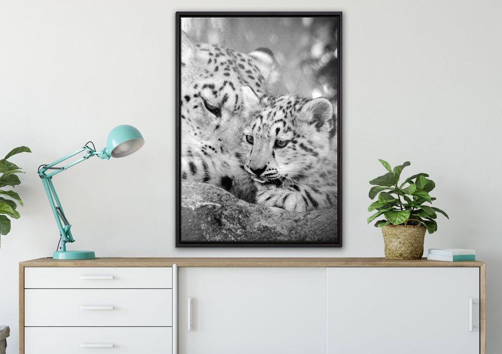 Leopard mit Jungtier auf Leinwandbild gerahmt verschiedene Größen im Wohnzimmer