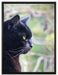 schwarze Katze auf Leinwandbild gerahmt Größe 80x60