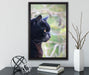 schwarze Katze auf Leinwandbild gerahmt mit Kirschblüten