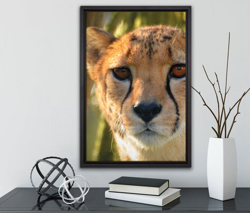 junger Gepard im Dschungel auf Leinwandbild gerahmt mit Kirschblüten