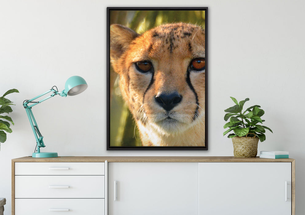junger Gepard im Dschungel auf Leinwandbild gerahmt verschiedene Größen im Wohnzimmer