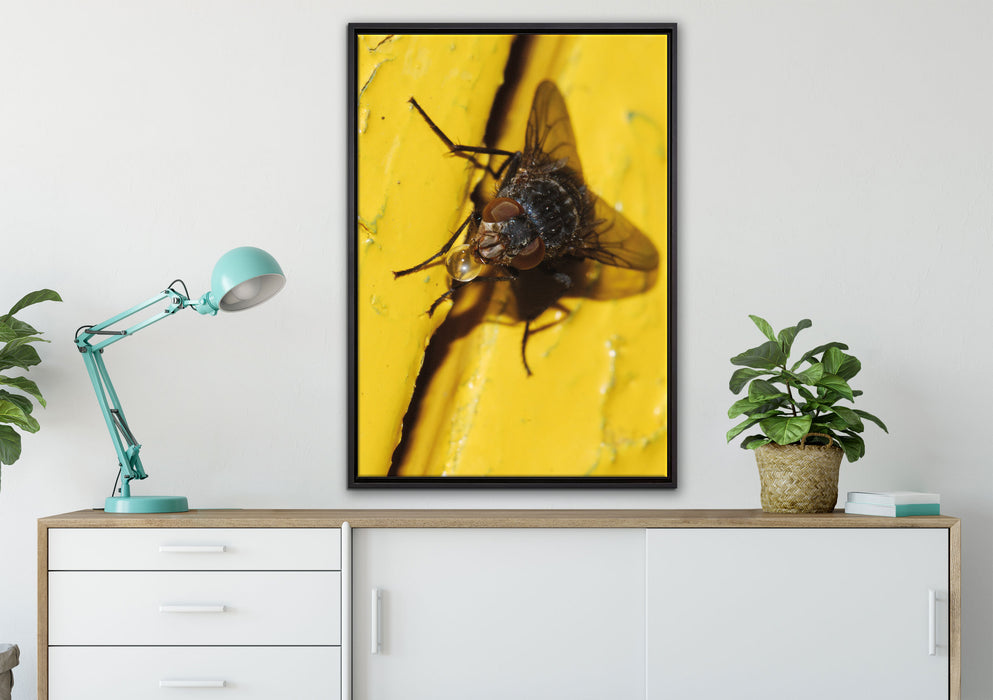 kleine Fliege mit Tautropfen auf Leinwandbild gerahmt verschiedene Größen im Wohnzimmer