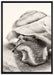 Schnecke mit Haus auf Leinwandbild gerahmt Größe 100x70