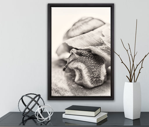 Schnecke mit Haus auf Leinwandbild gerahmt mit Kirschblüten