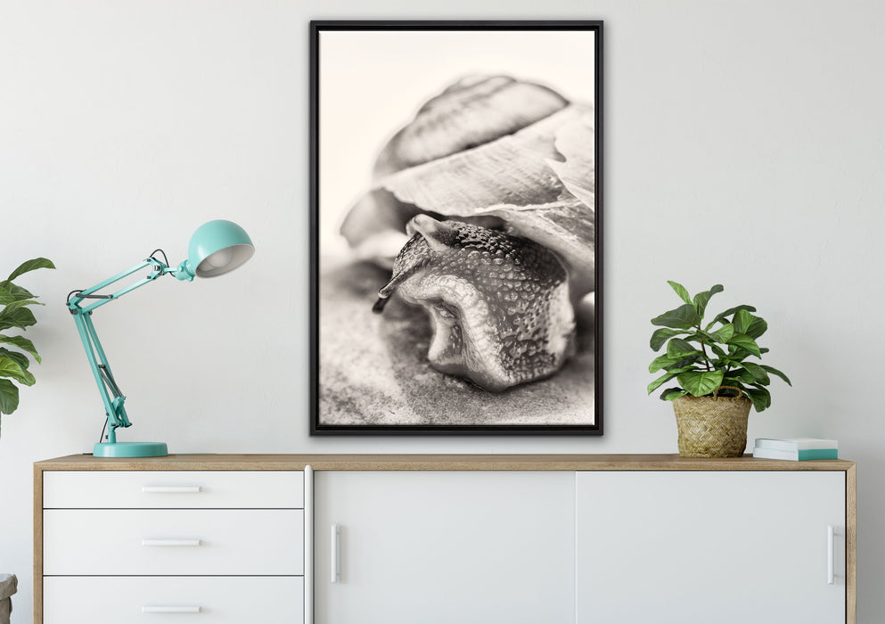 Schnecke mit Haus auf Leinwandbild gerahmt verschiedene Größen im Wohnzimmer