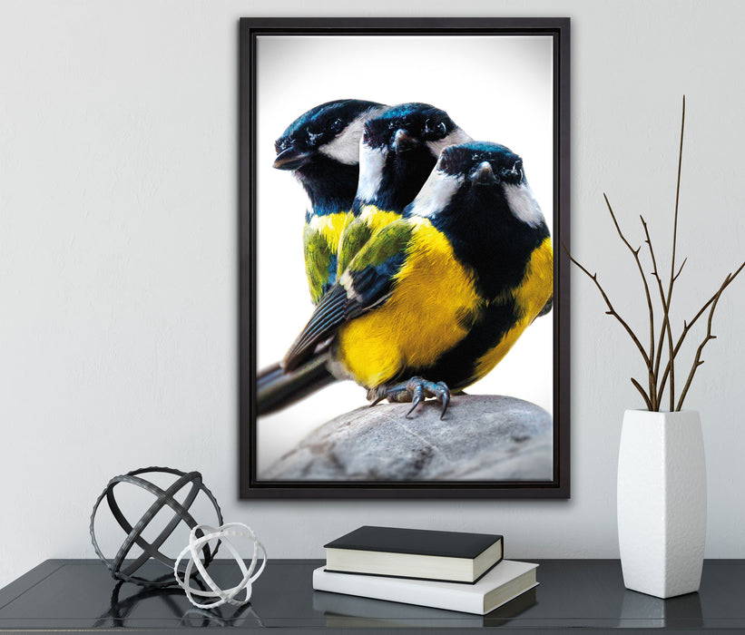 schöne Blaumeisen auf Leinwandbild gerahmt mit Kirschblüten