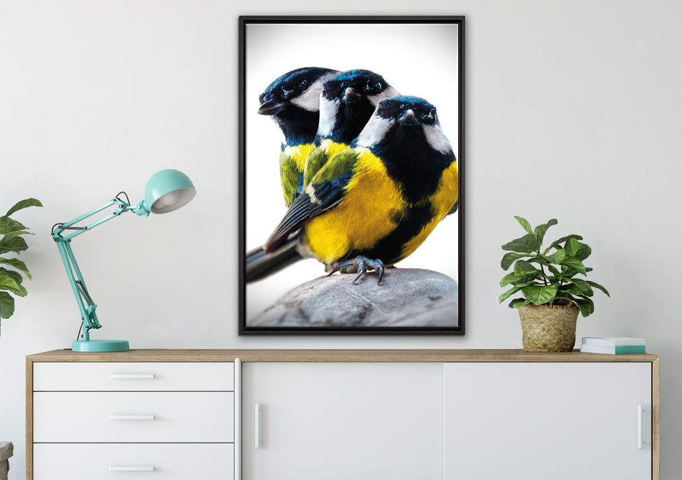 schöne Blaumeisen auf Leinwandbild gerahmt verschiedene Größen im Wohnzimmer