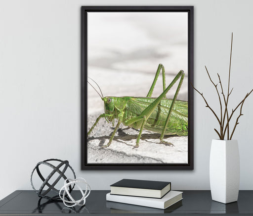 elegante Heuschrecke auf Leinwandbild gerahmt mit Kirschblüten