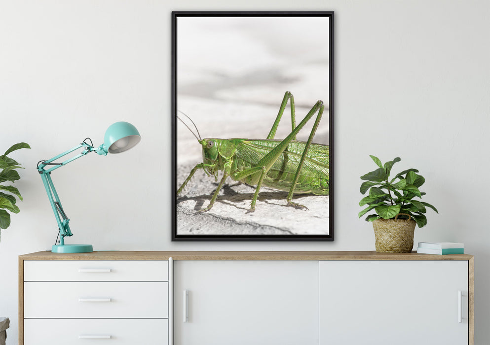 elegante Heuschrecke auf Leinwandbild gerahmt verschiedene Größen im Wohnzimmer