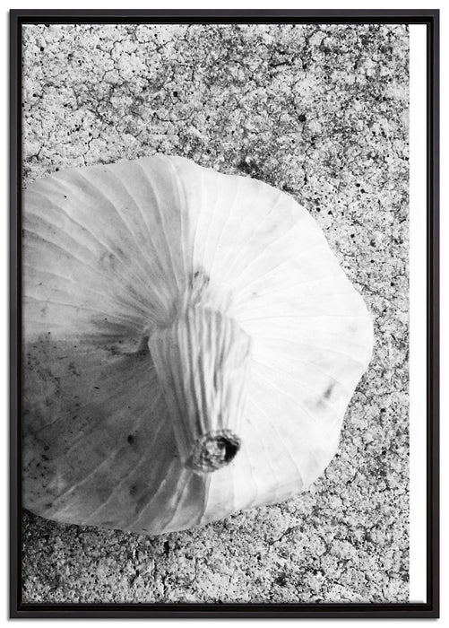 zwei Knoblauchknollen auf Leinwandbild gerahmt Größe 100x70