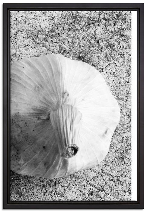 zwei Knoblauchknollen auf Leinwandbild gerahmt Größe 60x40