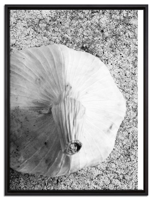 zwei Knoblauchknollen auf Leinwandbild gerahmt Größe 80x60