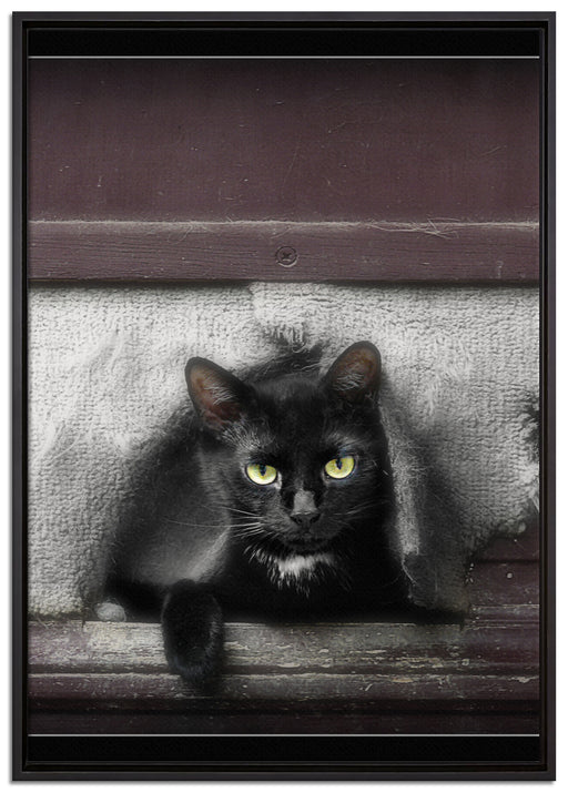 Katze in Hundeklappe auf Leinwandbild gerahmt Größe 100x70