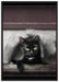 Katze in Hundeklappe auf Leinwandbild gerahmt Größe 100x70