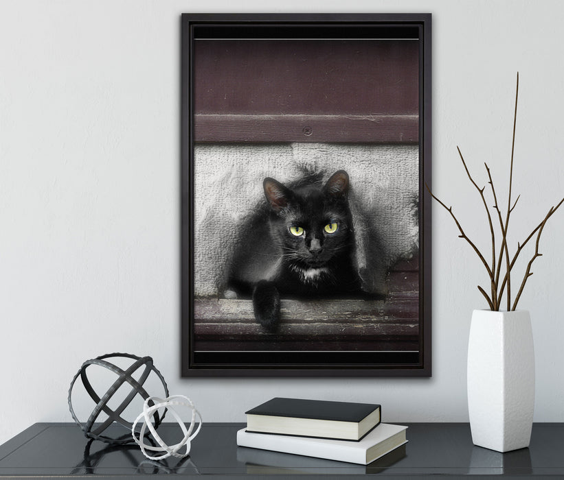 Katze in Hundeklappe auf Leinwandbild gerahmt mit Kirschblüten