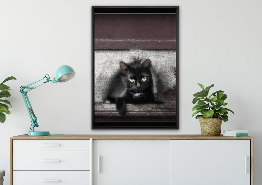 Katze in Hundeklappe auf Leinwandbild gerahmt verschiedene Größen im Wohnzimmer