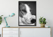Jack Russel Terrier ruht sich aus auf Leinwandbild gerahmt verschiedene Größen im Wohnzimmer