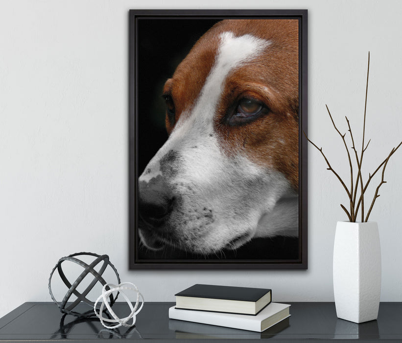 hübscher Hund im Seitenprofil auf Leinwandbild gerahmt mit Kirschblüten