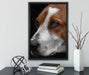 hübscher Hund im Seitenprofil auf Leinwandbild gerahmt mit Kirschblüten