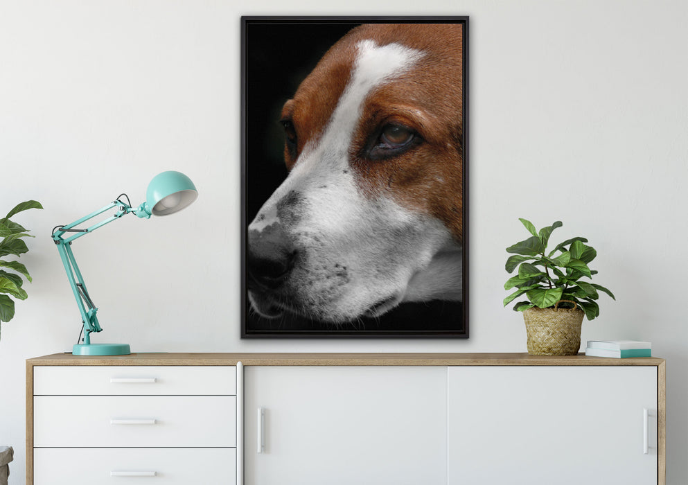 hübscher Hund im Seitenprofil auf Leinwandbild gerahmt verschiedene Größen im Wohnzimmer