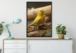 kleiner wachsamer Kanarienvogel auf Leinwandbild gerahmt verschiedene Größen im Wohnzimmer