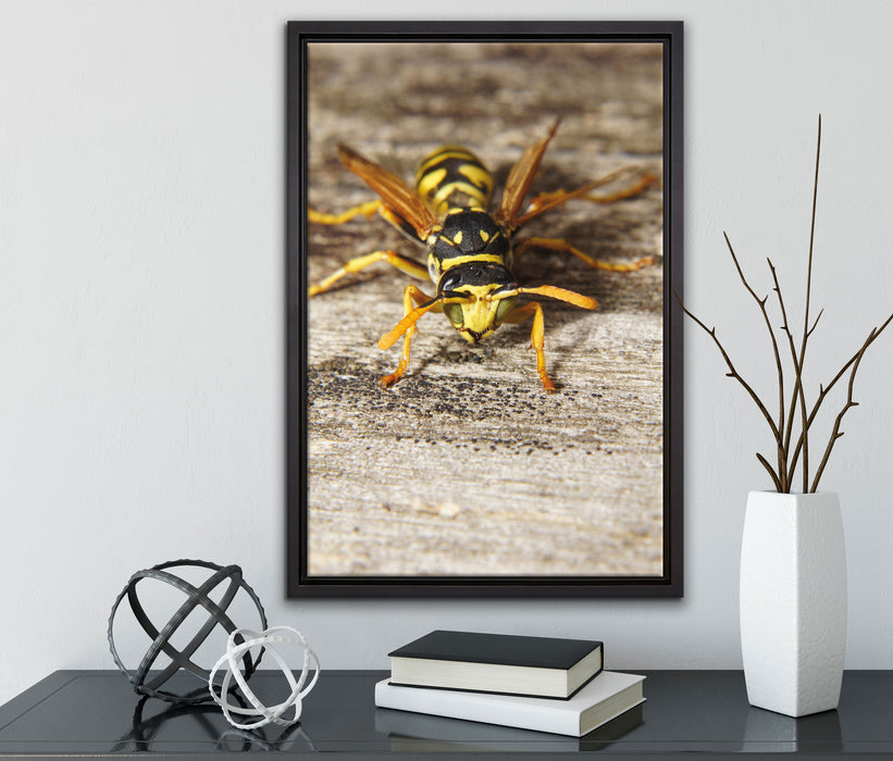 Wespe auf Holz auf Leinwandbild gerahmt mit Kirschblüten