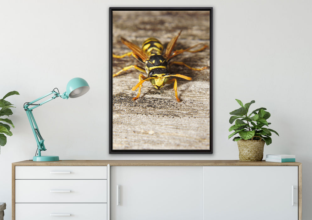 Wespe auf Holz auf Leinwandbild gerahmt verschiedene Größen im Wohnzimmer