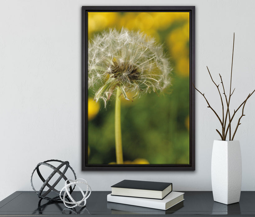 Pusteblume auf Wiese auf Leinwandbild gerahmt mit Kirschblüten