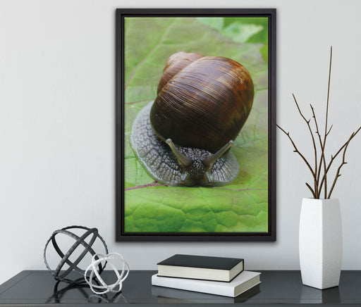 Weinbergschnecke auf Blatt auf Leinwandbild gerahmt mit Kirschblüten