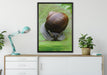 Weinbergschnecke auf Blatt auf Leinwandbild gerahmt verschiedene Größen im Wohnzimmer