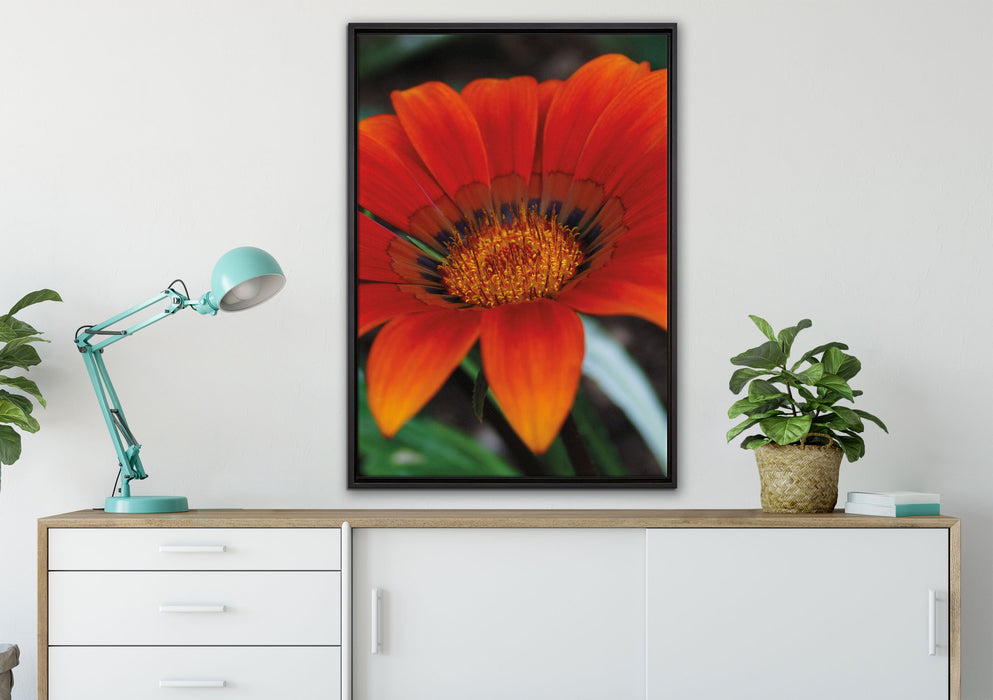 große orangefarbene Blüte auf Leinwandbild gerahmt verschiedene Größen im Wohnzimmer