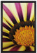 gelb lila gestreifte Blüte auf Leinwandbild gerahmt Größe 60x40