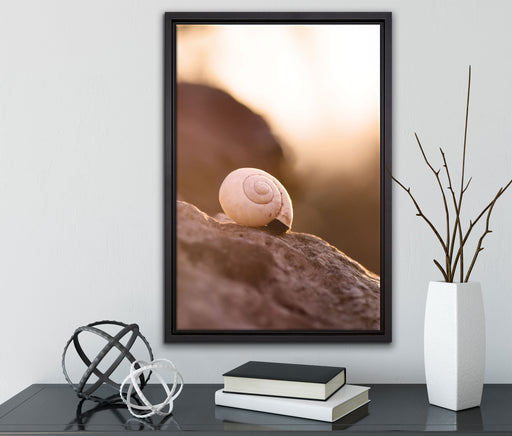 kleine Schnecke auf Stein auf Leinwandbild gerahmt mit Kirschblüten