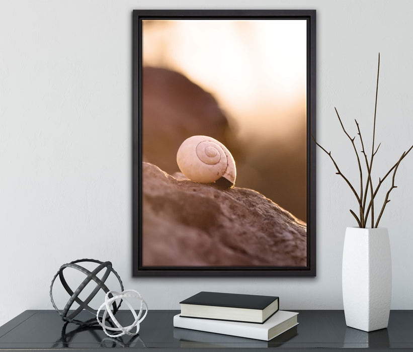 kleine Schnecke auf Stein auf Leinwandbild gerahmt mit Kirschblüten