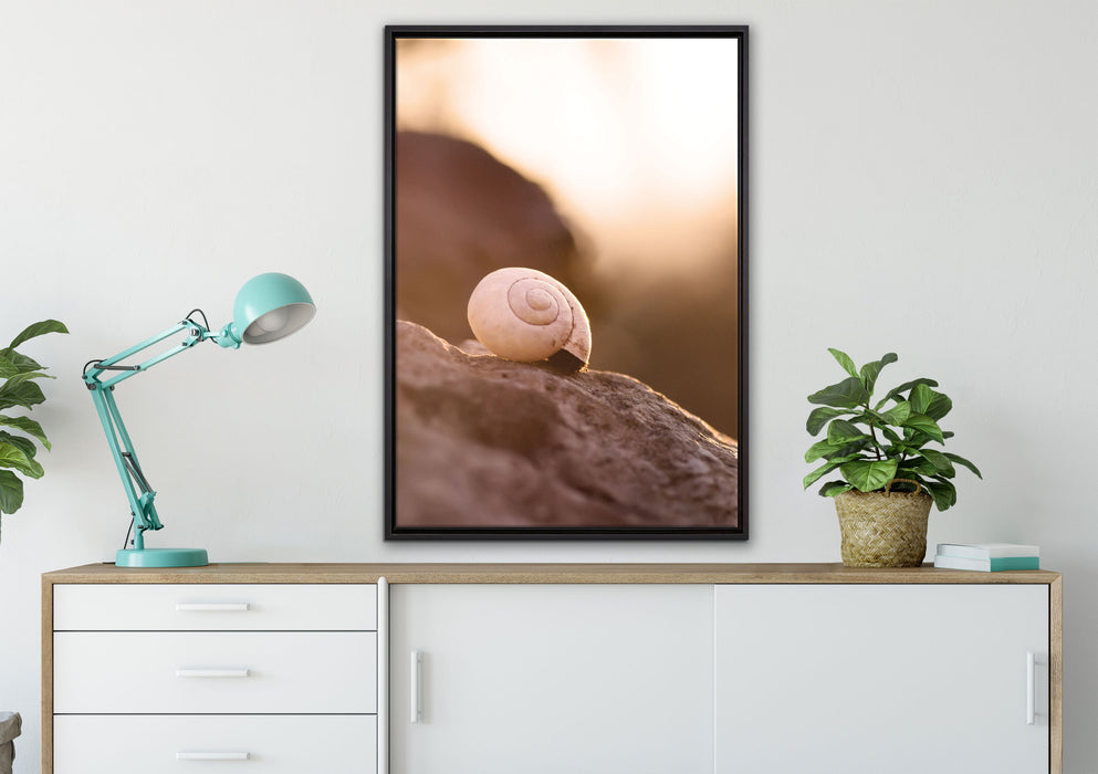 kleine Schnecke auf Stein auf Leinwandbild gerahmt verschiedene Größen im Wohnzimmer