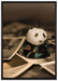 Panda Figur zwischen Fotografien auf Leinwandbild gerahmt Größe 100x70