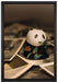 Panda Figur zwischen Fotografien auf Leinwandbild gerahmt Größe 60x40