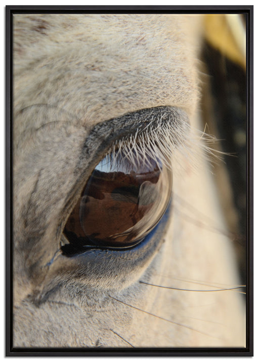 schöne große Pferdeaugen auf Leinwandbild gerahmt Größe 100x70