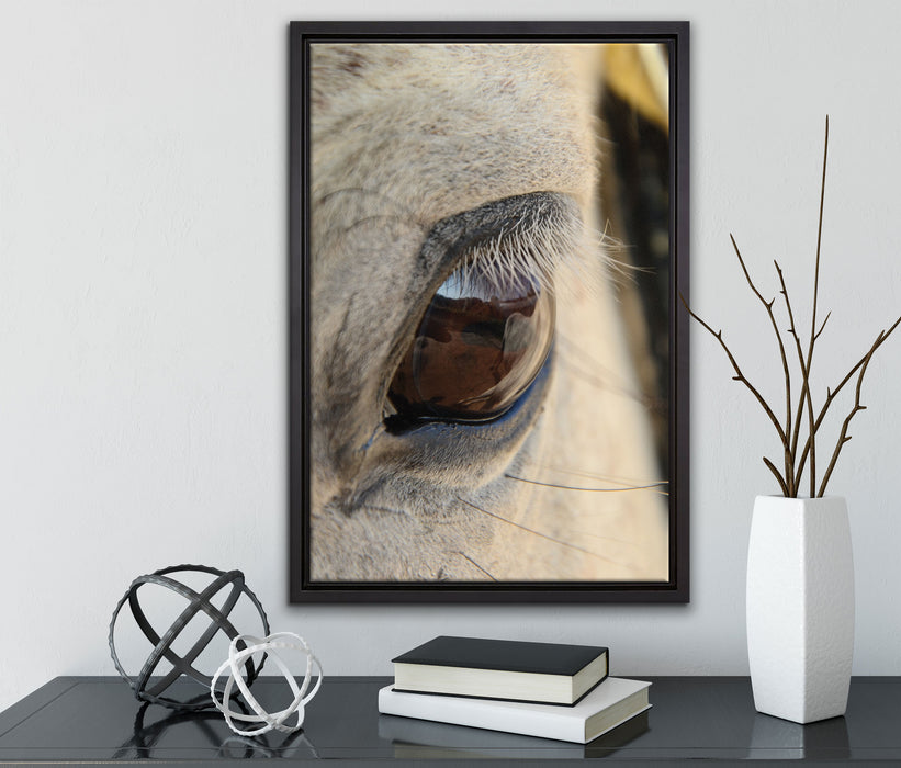 schöne große Pferdeaugen auf Leinwandbild gerahmt mit Kirschblüten