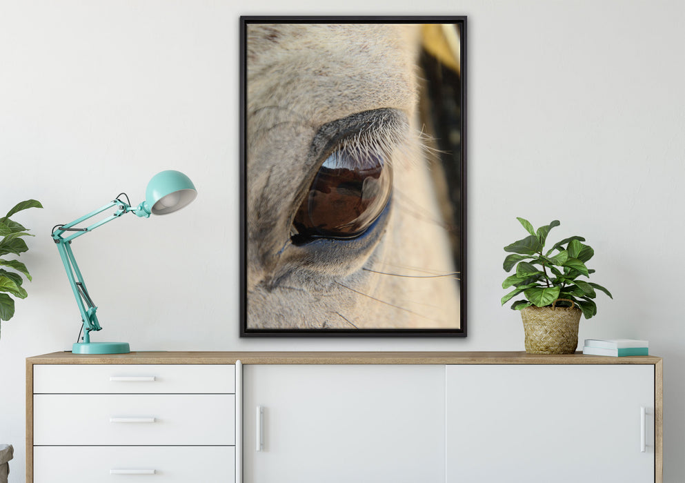 schöne große Pferdeaugen auf Leinwandbild gerahmt verschiedene Größen im Wohnzimmer