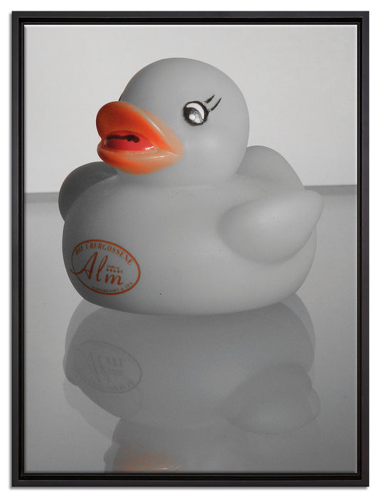 graues Quietsche Entchen auf Leinwandbild gerahmt Größe 80x60