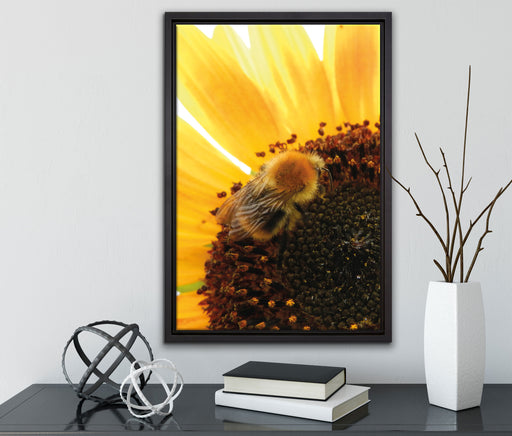 Biene auf Sonnenblume auf Leinwandbild gerahmt mit Kirschblüten