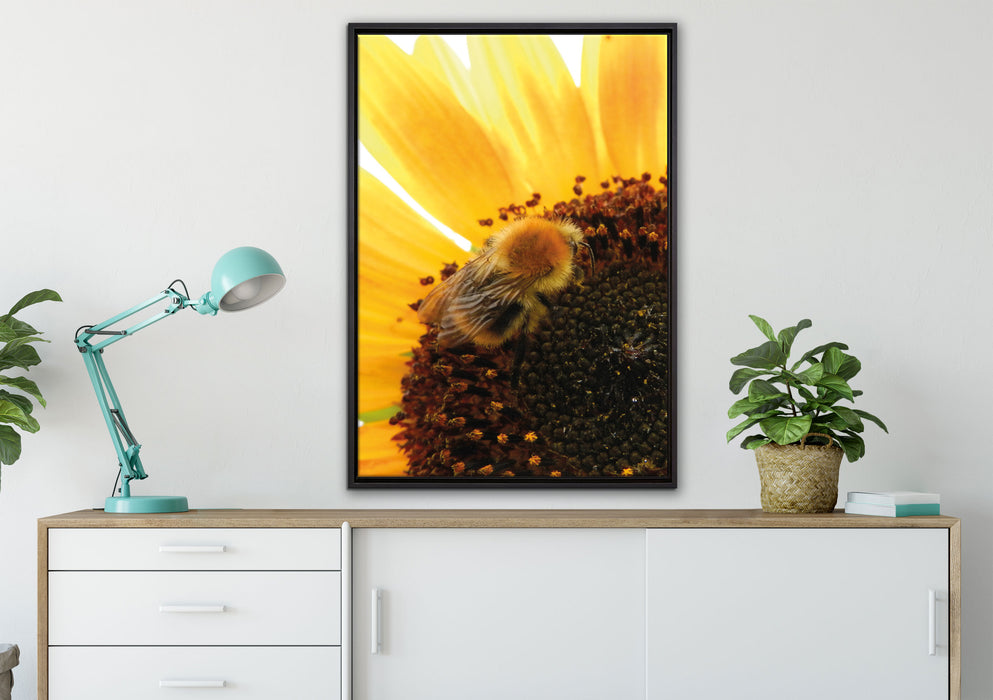 Biene auf Sonnenblume auf Leinwandbild gerahmt verschiedene Größen im Wohnzimmer