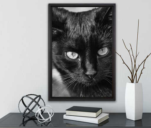 schwarze Katze auf Leinwandbild gerahmt mit Kirschblüten