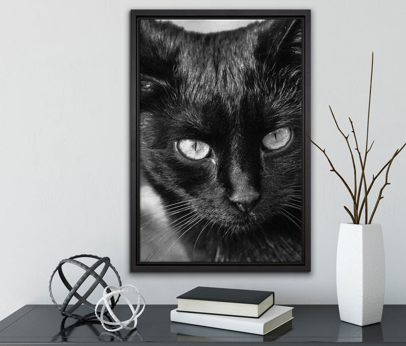 schwarze Katze auf Leinwandbild gerahmt mit Kirschblüten