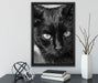 schwarze Katze auf Leinwandbild gerahmt mit Kirschblüten