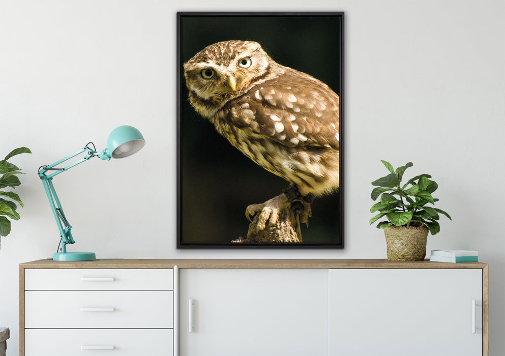 Eule auf Ast auf Leinwandbild gerahmt verschiedene Größen im Wohnzimmer